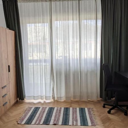 Апартаменти Walnut Apt. Near The River, Early/Late Checkin/Out Клуж-Напока Екстер'єр фото